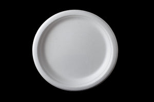 10 Inch Round Plate, 20g, φ260X20