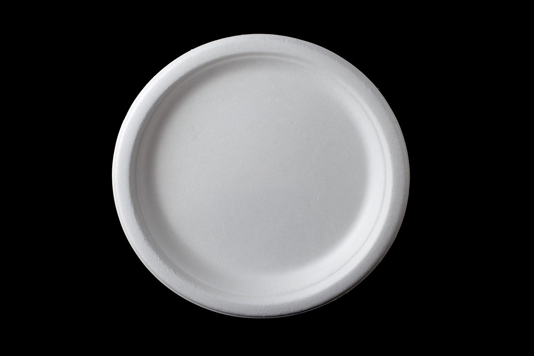 10 Inch Round Plate, 20g, φ260X20