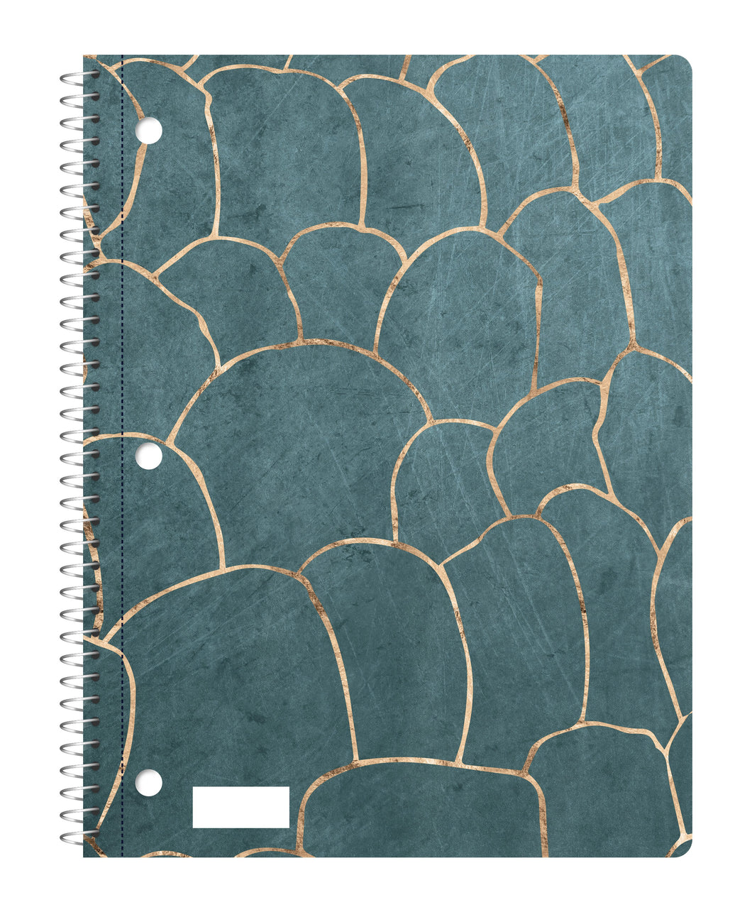 70 Sheets 10-1/2 x 8 Inch,Gold or Metallic Cover 1-Subject Spiral Notebook