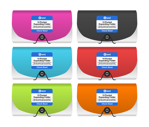 13-Pocket Check Size Poly Expanding File