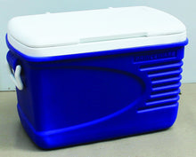Load image into Gallery viewer, NEW ECO GLACIER ICE BOX 30 LTR