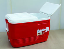 Load image into Gallery viewer, GLACIER ICE BOX 60 LTR